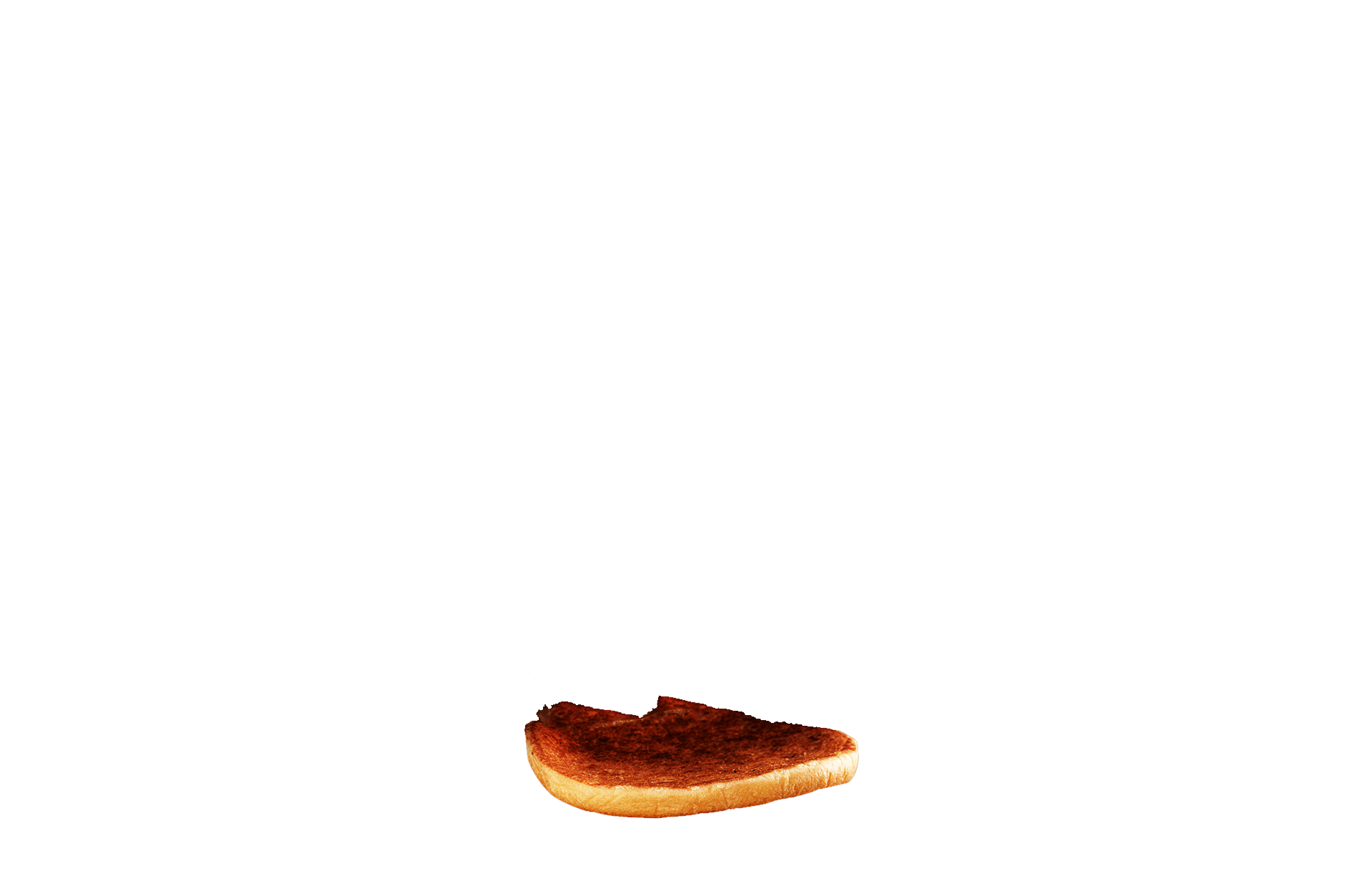 Burger_bun