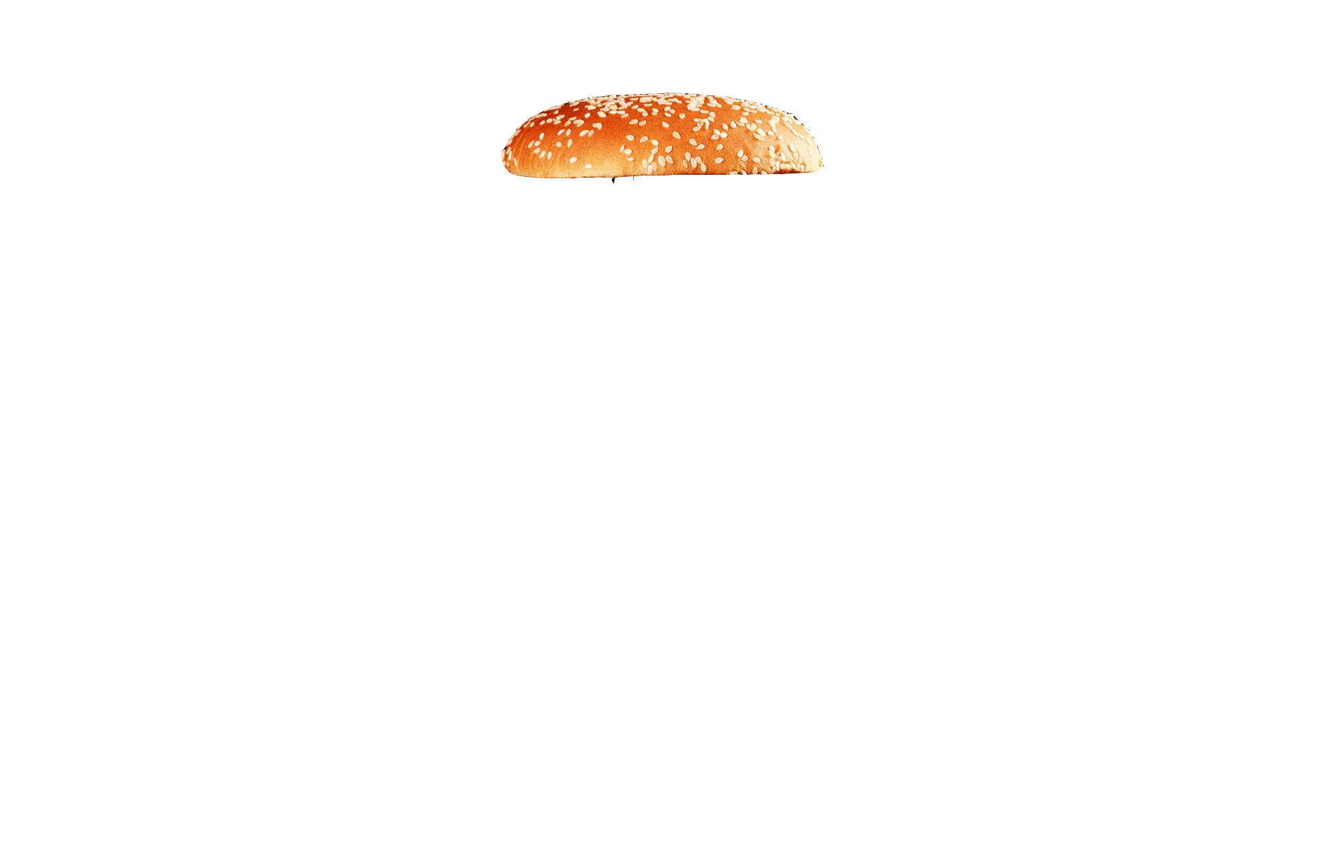 Burger_bun