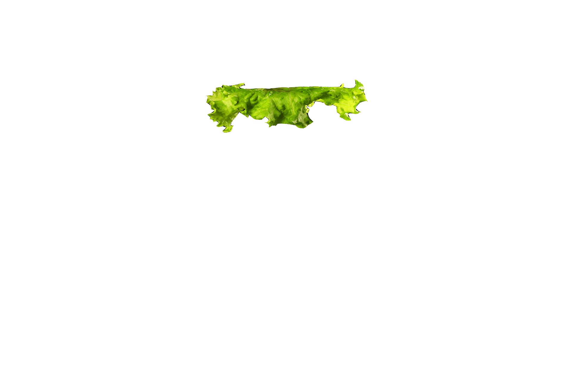 Lettuce